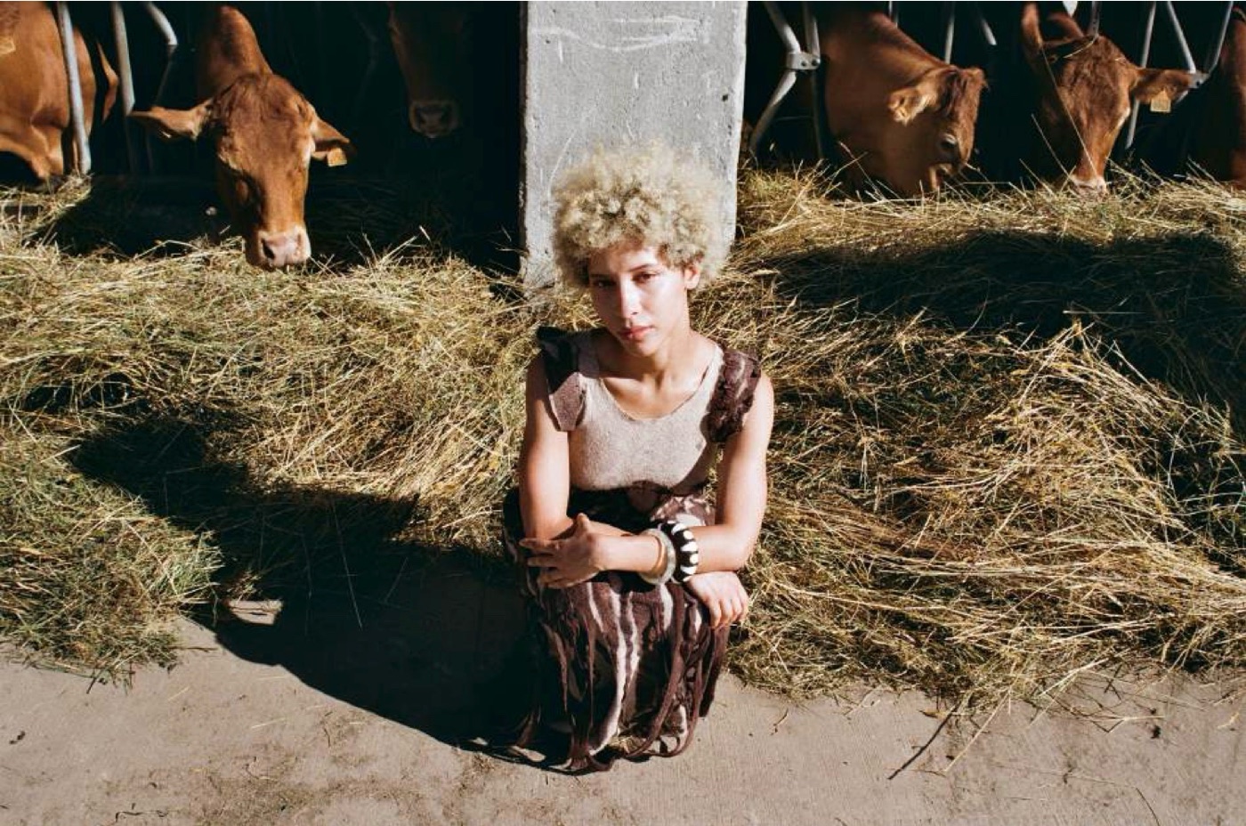 Model crouching in hay in front of cows, in the patterned felted dress